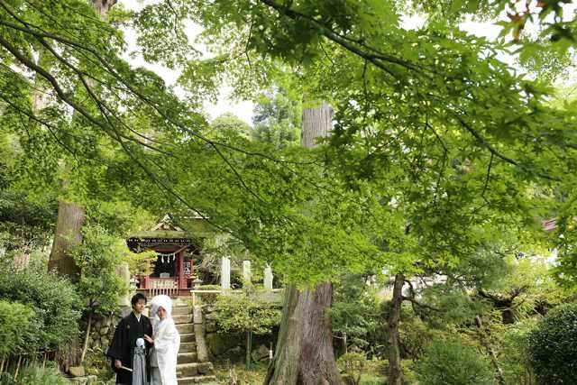 筑波山神社画像