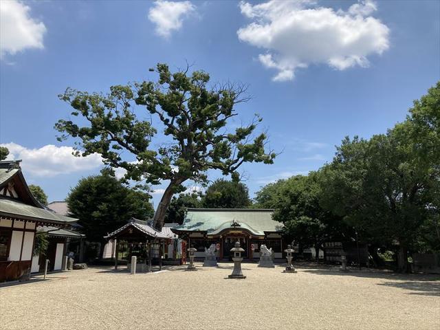 矢作神社 / 三々九度画像