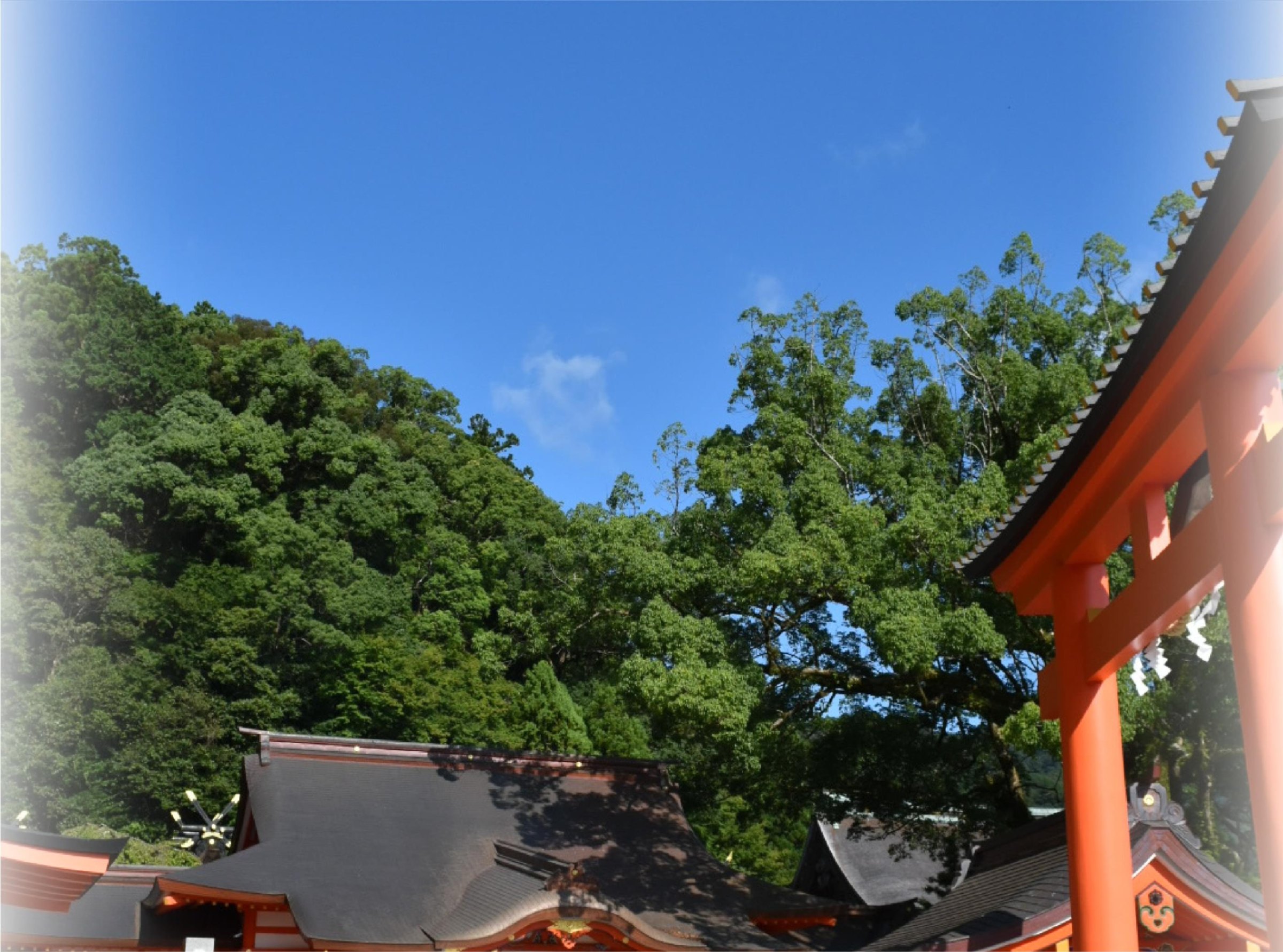 熊野那智大社画像