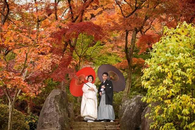 筑波山神社画像
