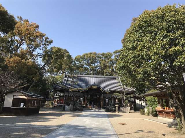 杭全神社 / 三々九度画像